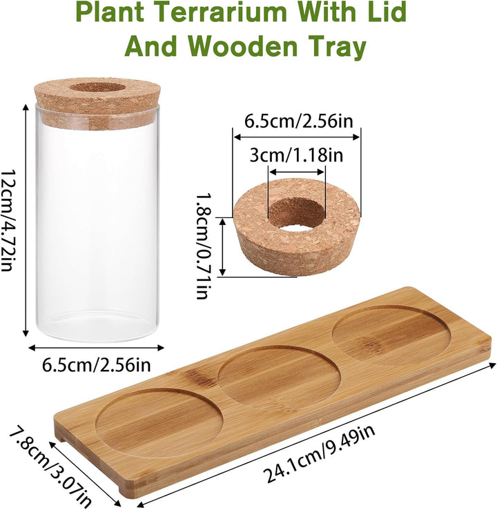 Fentar Ableger Pflanzen Glas, Propagation Station mit Holzsockel und Stecker, 3Stk Kleine Vasen für