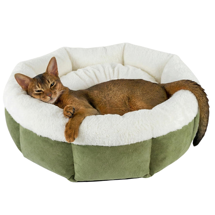 Katzenbett 55×55×20cm Flauschiges Katzenbett &amp; Hundebett für kleine Hunde, waschbares Haustierbett m