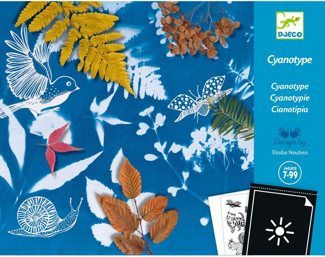 Djeco DJ09339 Cyanotype Starter Kit