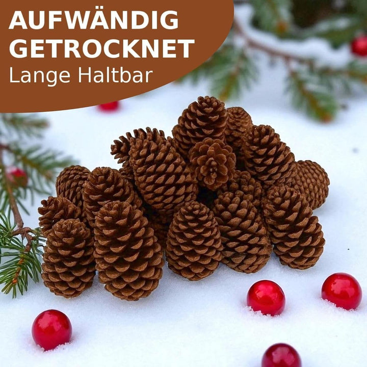 NaDeco Pinus maritima in Natur, 14-18cm, 20 Stück | Grosse Tannenzapfen | Kiefernzapfen | Weihnachts