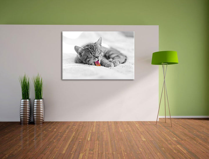 kleines gähnendes Kätzchen schwarz/weiss Format: 100x70 auf Leinwand, XXL riesige Bilder fertig gera