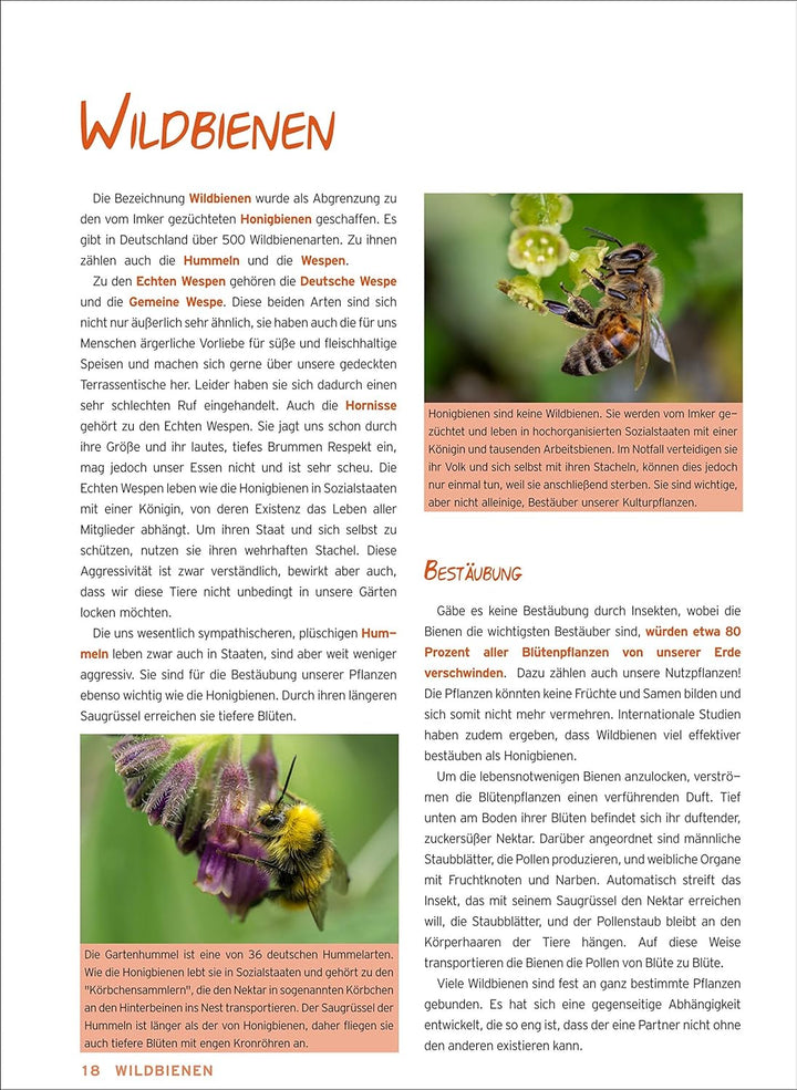 Natürlich Töpfern - Insektenhotels, Nistkästen, Futterhäuschen; 25 Projekte Schritt für Schritt, Sch