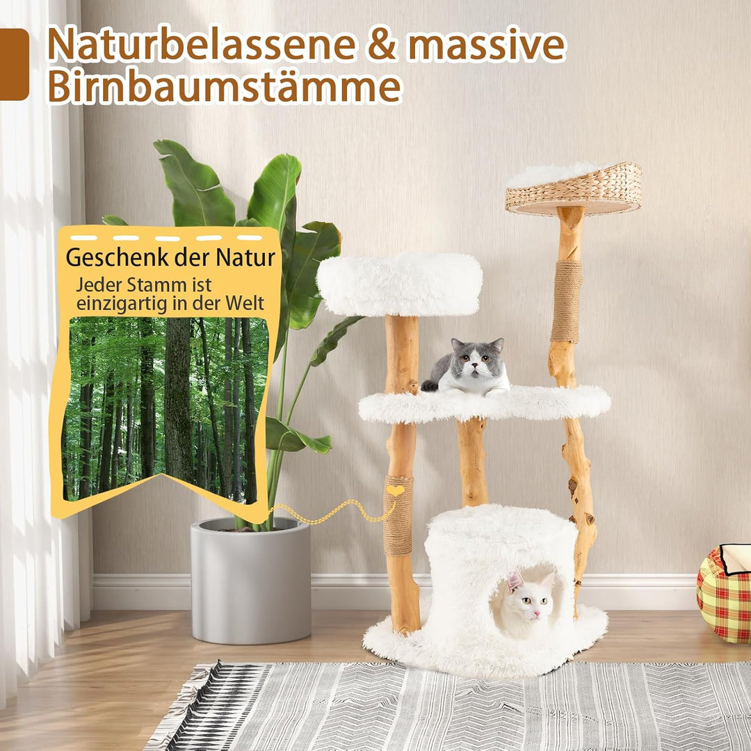 SOARS Kratzbaum Holz, Katzenbaum mit 3 natürlichen Birnbaumstämmen, Katzenhöhle & Plüschflächen, Kat