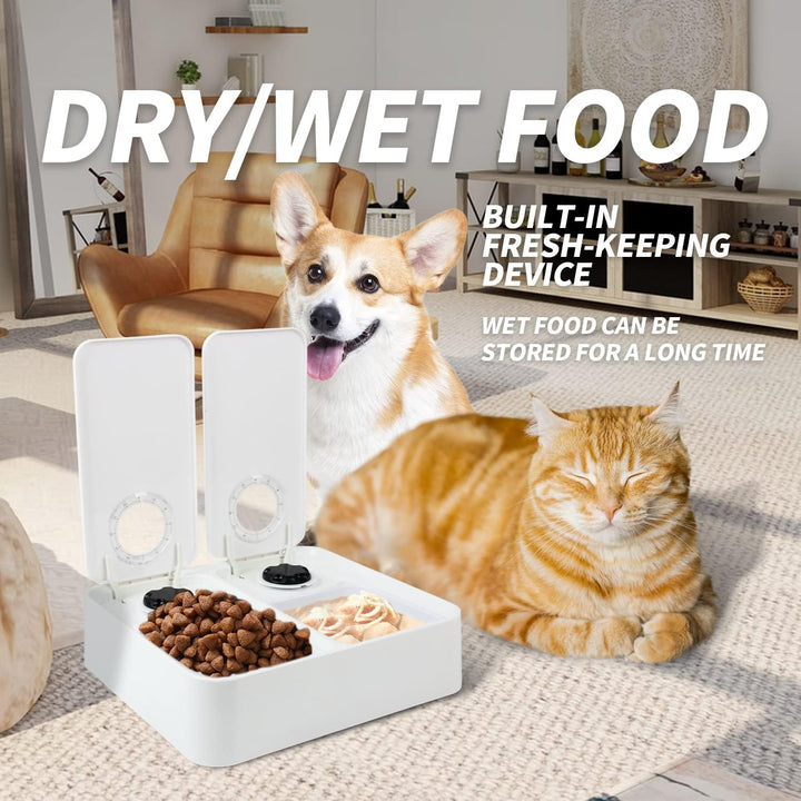 Liftstyle4Pets of Double Timer Feeder