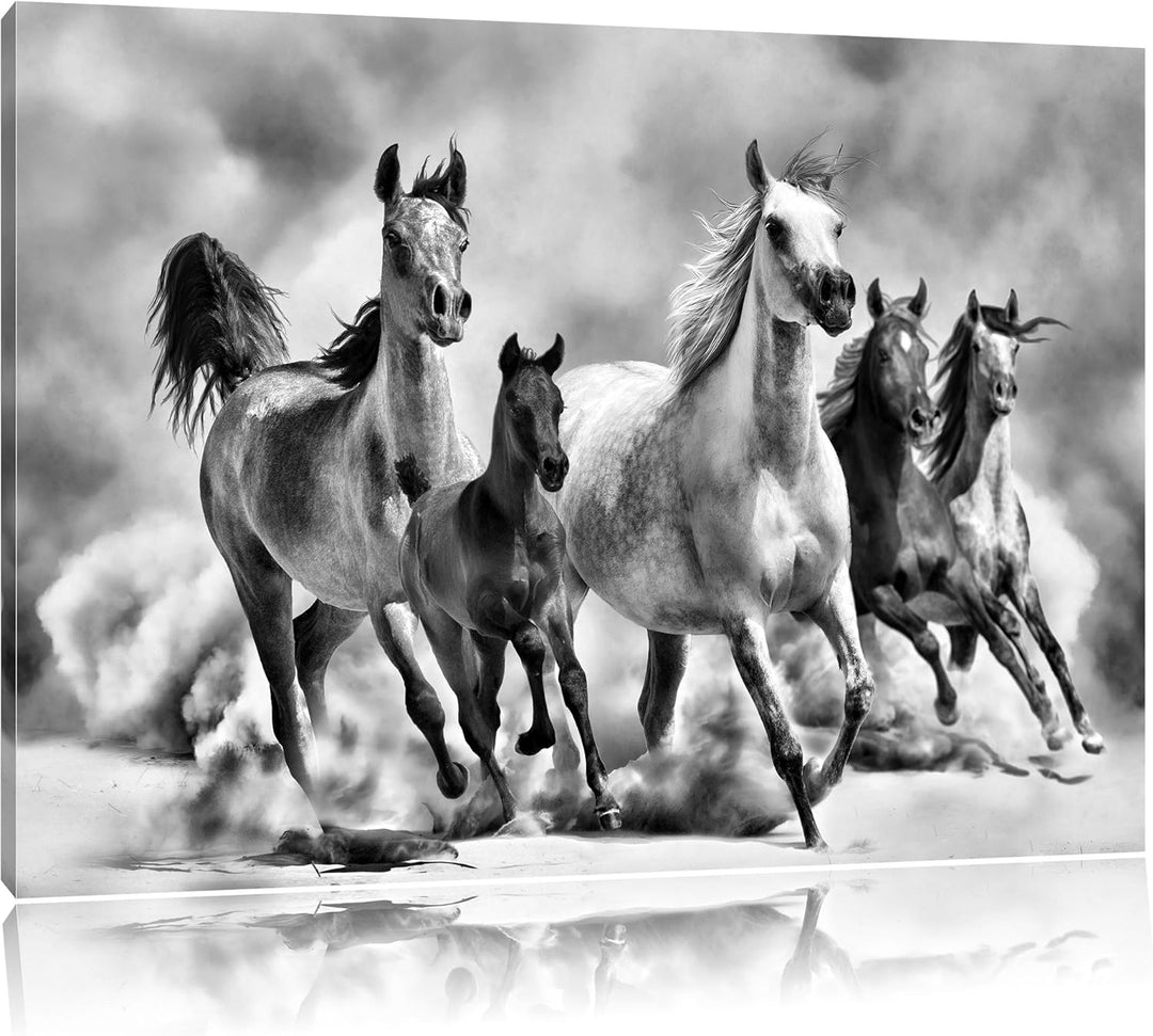Pixxprint Monocrome, Western Pferde in Wüste mit Fohlen, Format: 100x70 auf Leinwand, 100x70