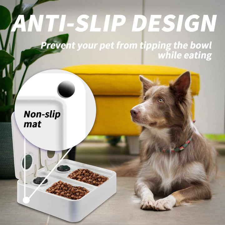 Liftstyle4Pets of Double Timer Feeder