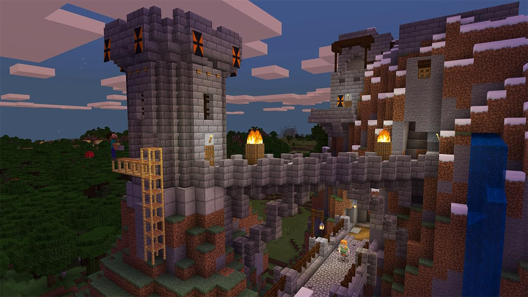 Nintendo Minecraft - [Nintendo Switch] Nintendo Switch Standard, Nintendo Switch Standard
