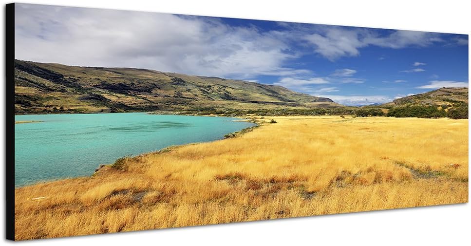 Paul Sinus Art Panoramabild auf Leinwand und Keilrahmen 150x50cm Chile Nationalpark Berge See Wiese