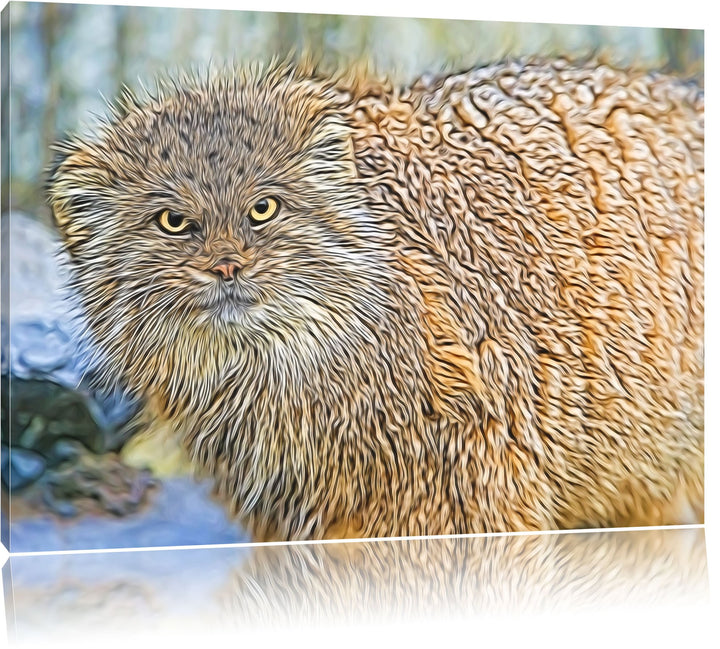 wütende Manul Deluxe Format: 100x70 cm auf Leinwand, XXL riesige Bilder fertig gerahmt mit Keilrahme