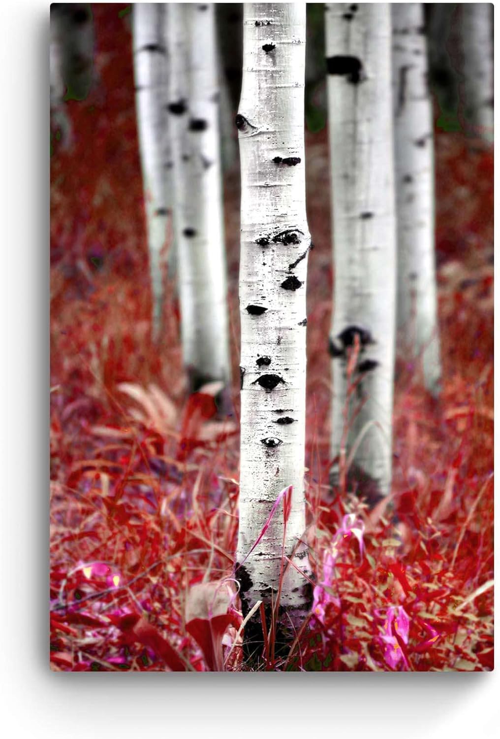 Startonight Bilder Aspen-Waldbäume, Leinwandbilder Moderne Kunst, Rot Natur Wanddeko Kunstdrucke, Wa