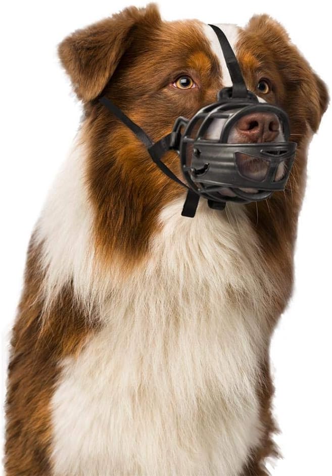 duvoplus DUVO BOZAL Gummi Hund