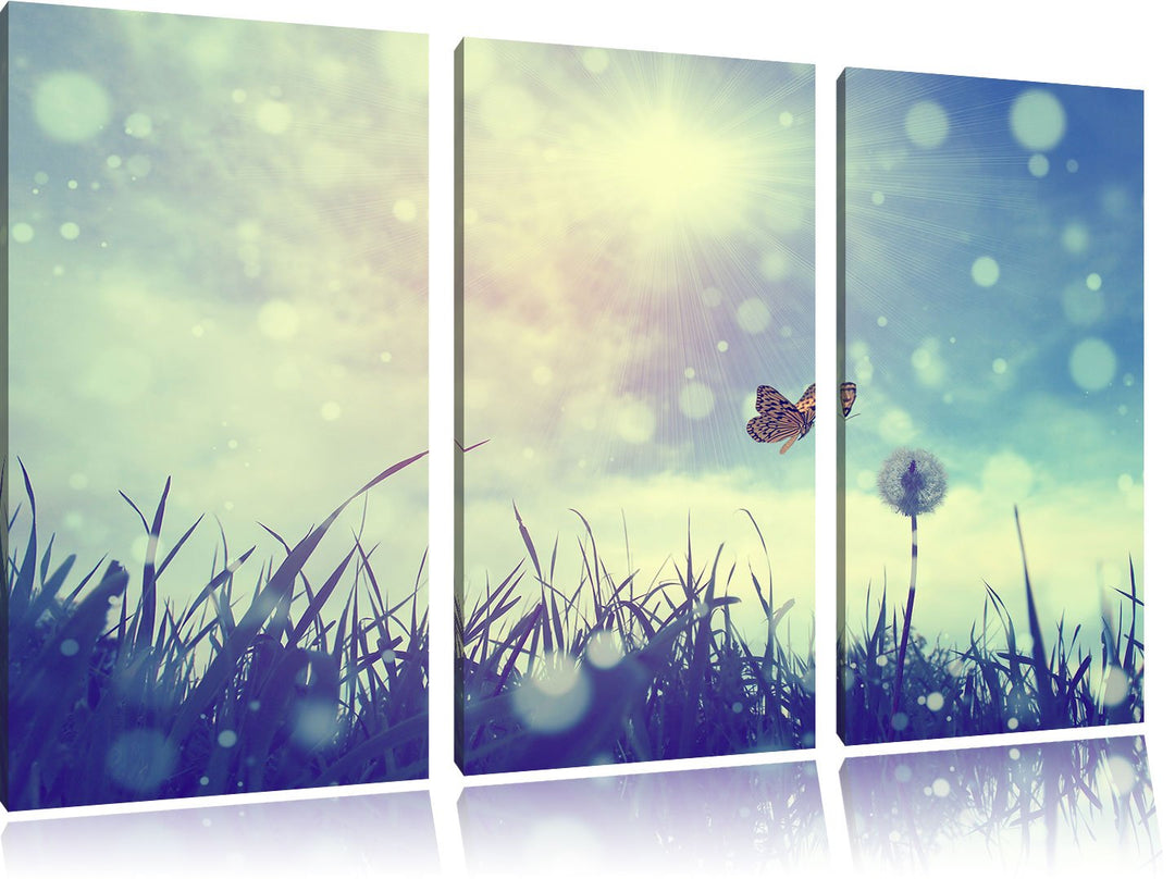 Pixxprint Schmetterling fliegt zu Pusteblume / 3-Teilig/Gesamtmass 120cm Leinwandbild bespannt auf H