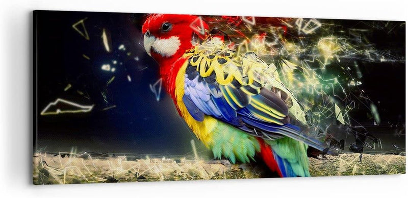 Wandbilder Dekoration Wohnzimmer Papagei Vogel Feder Panorama Bilder auf Leinwand 120x50cm Leinwandb