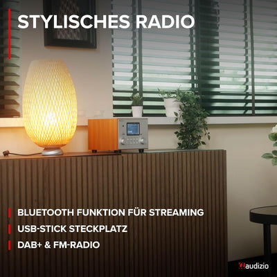 Audizio Vieste - DAB Radio mit Bluetooth, Digitalradio, 60 Watt Lautsprecher, DAB Plus Radio mit USB