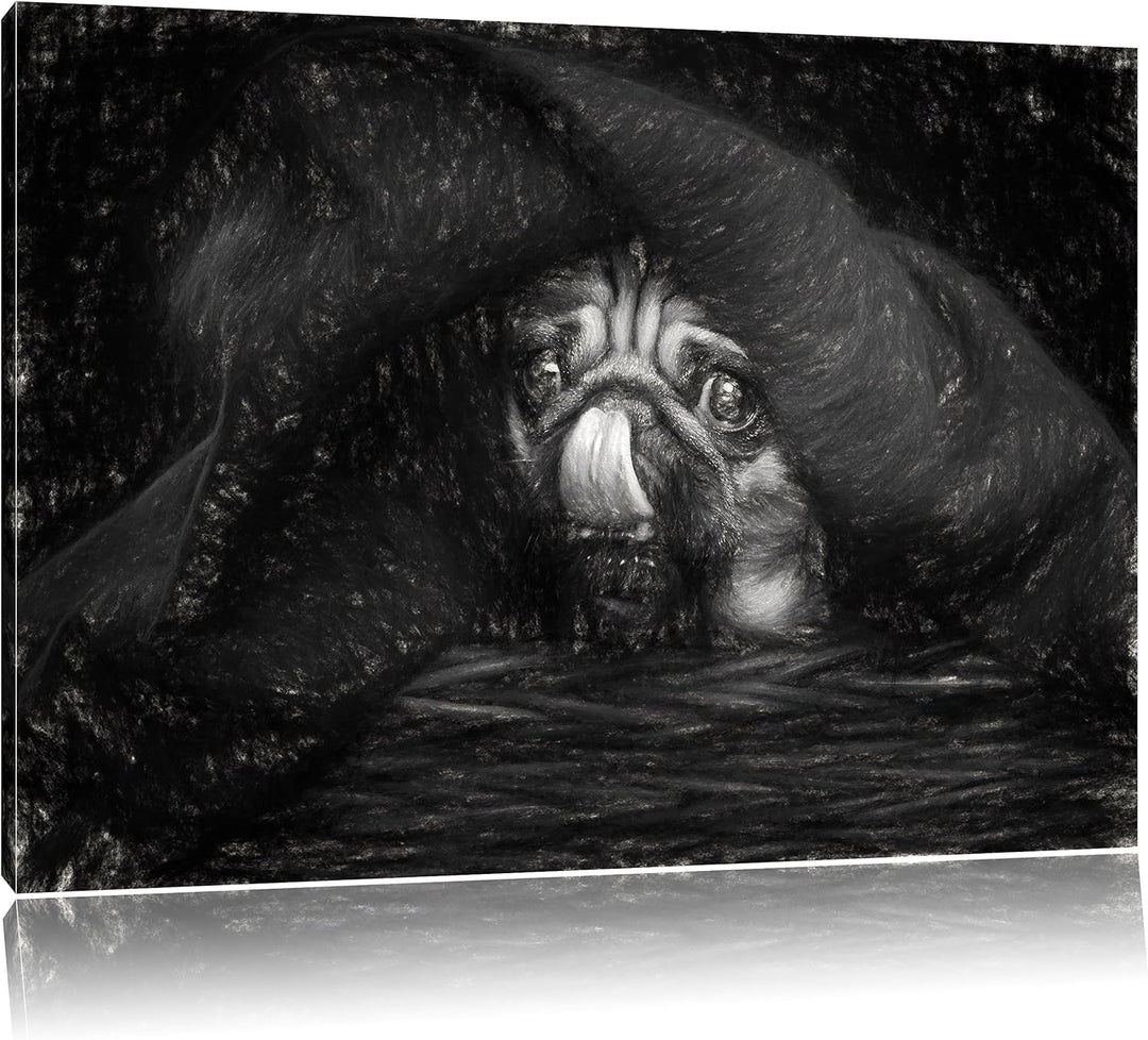 Pixxprint Süsser Mops unter der Decke Kunst als Leinwandbild/Grösse: 100x70 / Wandbild/Kunstdruck/fe