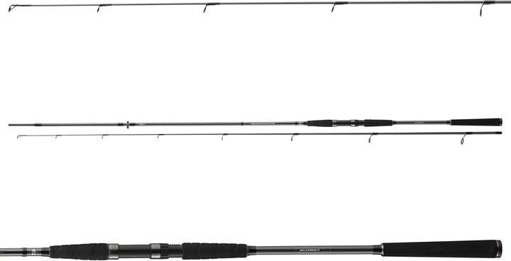 Daiwa Black Widow XT Bait 3,60m 50-125g Allroundrute