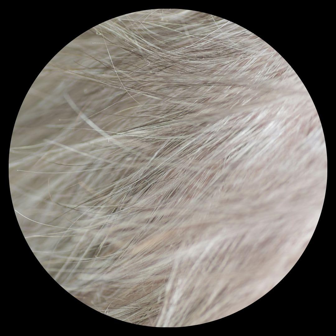HairFiberPlus 12 g Haarfasern zum sofortigen Abdecken von Haarausfall in Sekunden (Grau, 12 g) grau
