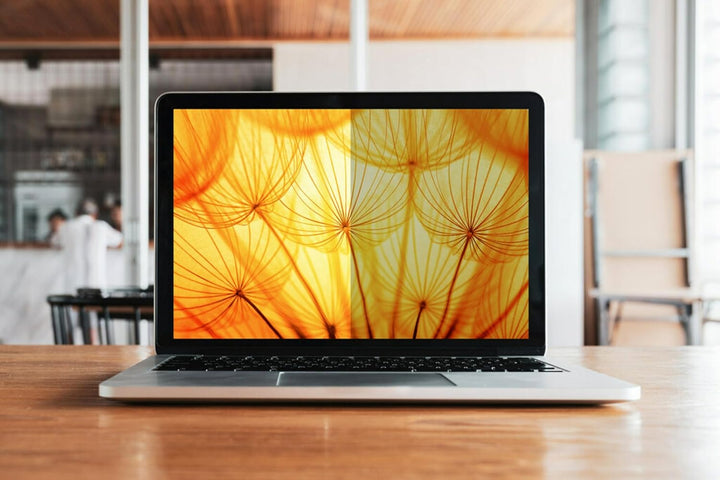 3M BP173W9B Blickschutzf. 16:9 17,3 Bright Screen für Laptop