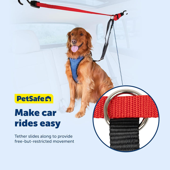 PetSafe Solvit Zipline für Hunde, Rücksitzleine, ideal für Reisen 72 IN, 72 IN