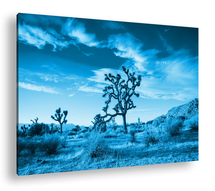 deyoli beeindrucken Wüstenlandschaft Format 80x60 Effekt: Monocrome Blau als Leinwandbild, Motiv fer