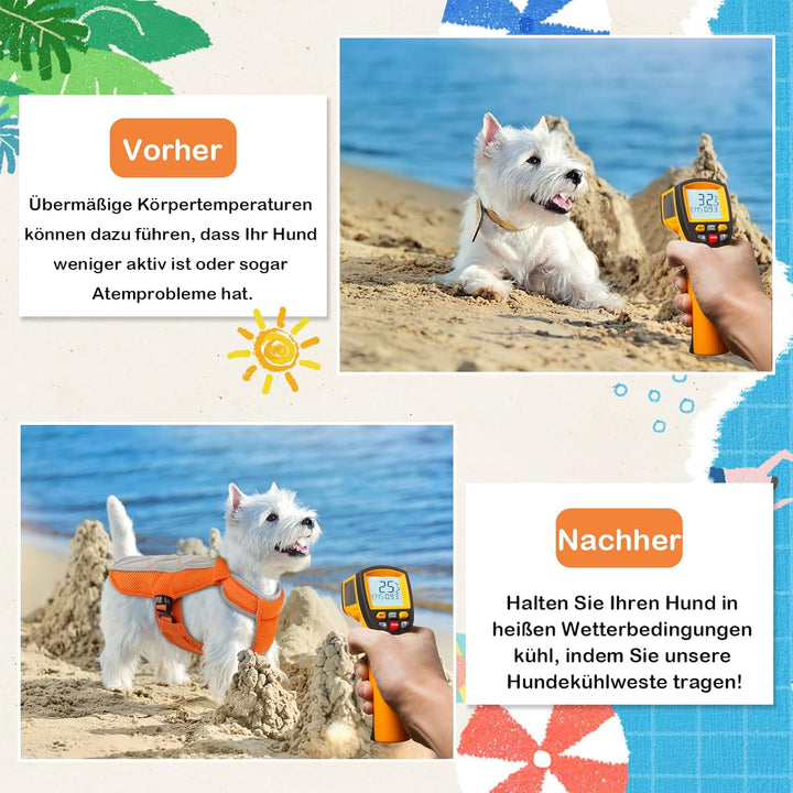 Kühlweste für Hunde, Kühlweste Hund mit D-Ringe Sommer Kühlmantel für Hunde Kühlgeschirr Atmungsakti