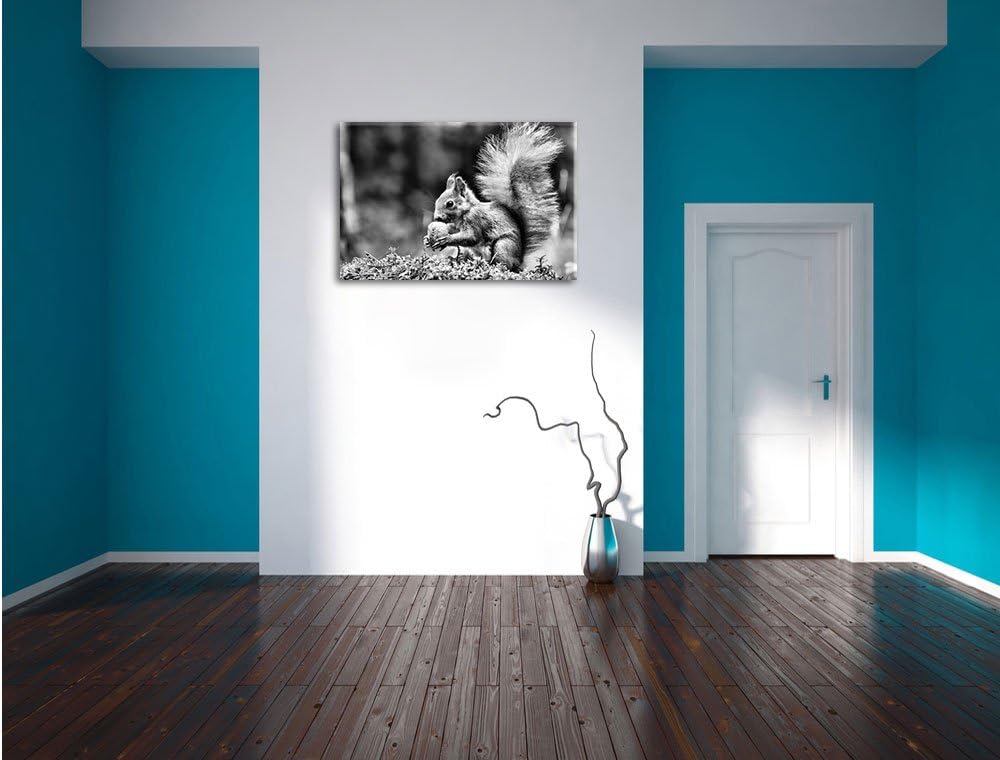 Pixxprint Eichhörnchen mit Nuss / 100x70cm Leinwandbild bespannt auf Holzrahmen/Wandbild Kunstdruck