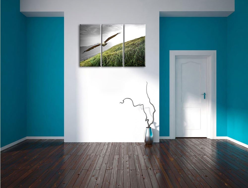 Pixxprint Majestätischer Weisskopfseeadler Schwarz/Weiss 3-Teiler Leinwandbild 120x80 Bild auf Leinw