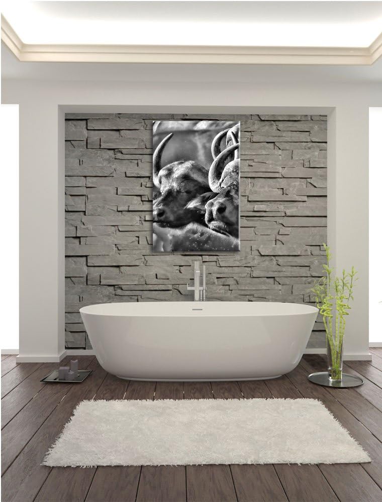 Pixxprint Monocrome, Zwei gemütliche Wasserbüffel, Format: 100x70 auf Leinwand, 100x70