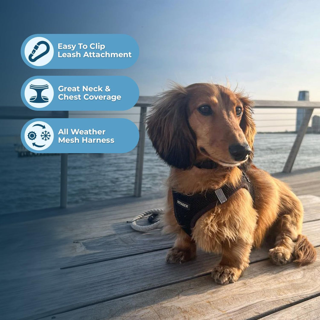 Best Pet Supplies Voyager Step-In Air Hundegeschirr – Allwetter Mesh Step In Weste Geschirr für klei