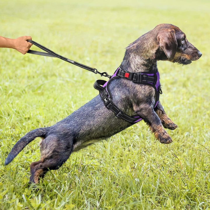 PoyPet Keine Pull Hundegeschirr Front Reflektierende Pet Weste für Hunde mit Einfache Kontrolle Grif