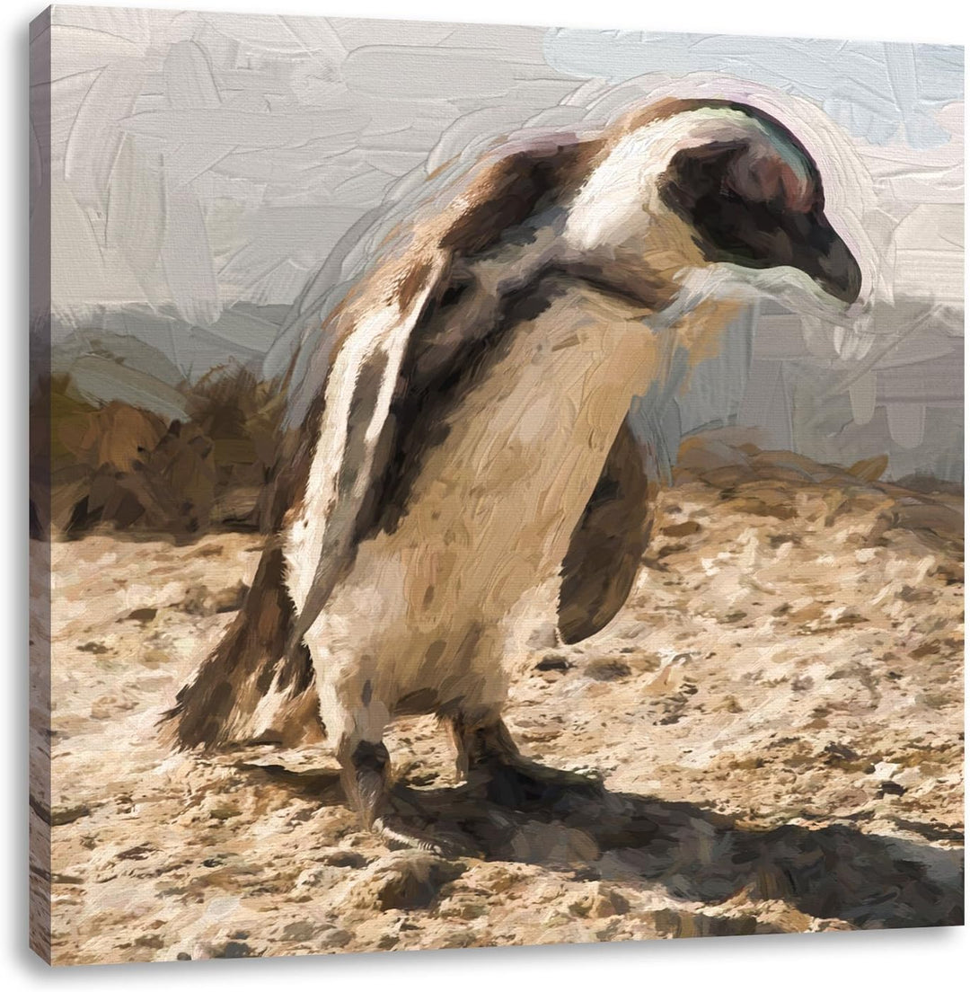 Pixxprint Afrikanischer Pinguin beobachtet Pinsel Effekt, Format: 70x70 auf Leinwand, 70x70