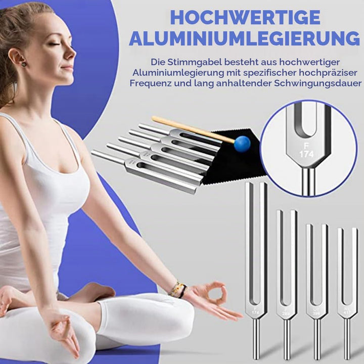 Stimmgabel,Stimmgabel Neurologie, 10er Set mit Sockel + 2 Silikonhämmer und Reinigungstücher, Ideale