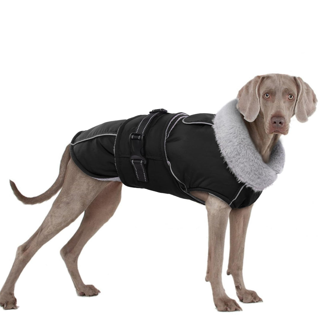 Hundemantel XXXL, Hundejacke Winter Hunde Wintermantel Wasserdicht Hundeweste Winter Warmer Hundepul