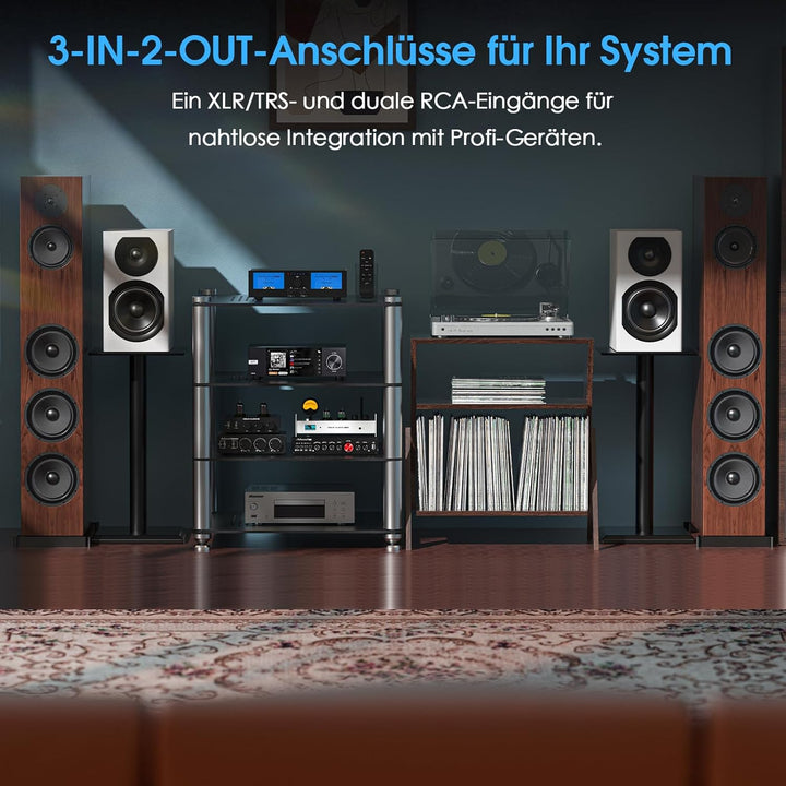 DoukAudio 600W 2/4-Kanal Verstärker: Lautsprecherwähler | Digitalverstärker für Eversolo DMP-A6 mit