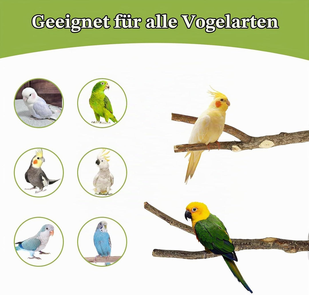 8 Stück Natur Sitzstangen Set für Vögel, Naturholzstangen Vogelständer Vogelzubehör Sitzstangen, Vog