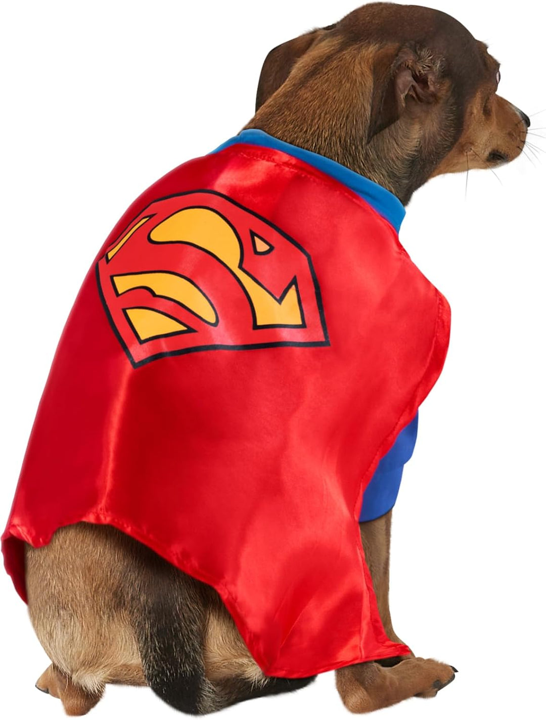 DC Comics Haustierkostüm Superman, gross Large (Pack of 1), Large (Pack of 1)