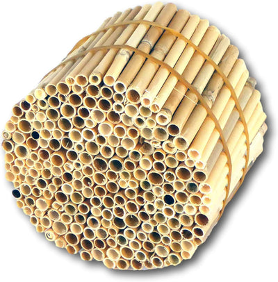 Hiss Reet BeeCasa by Schilfrohrhalme Premium | Geschälter Bund | Insektenhotel & Bienenhotel Füllmat