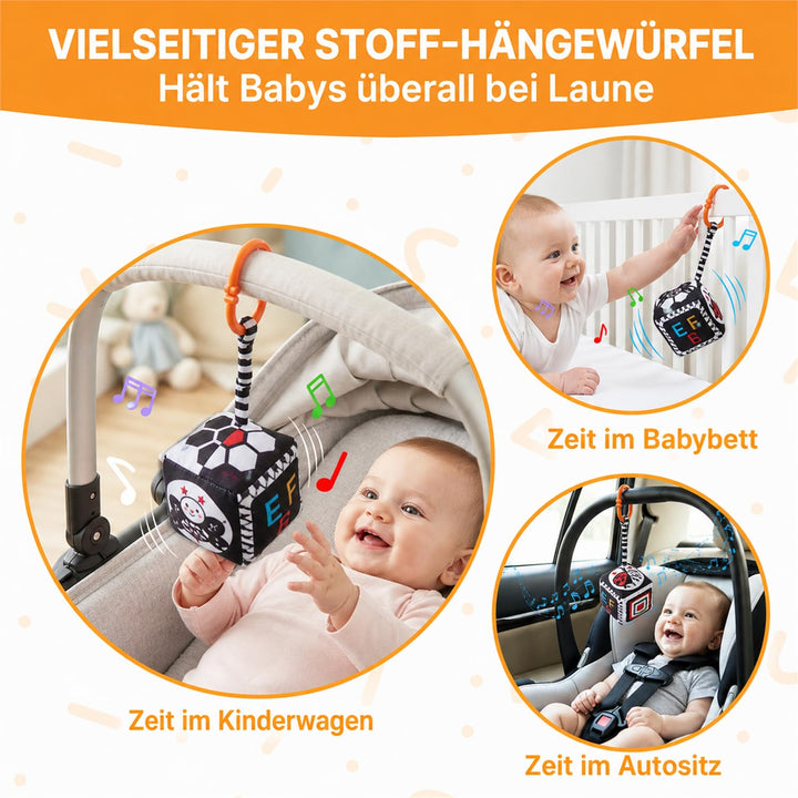 JoyCat Babyspielzeug 0-6 Monate, 6 in 1 Sensorik Baby Spielzeug mit Kontrastkarten, Schwarz Weiss Ko