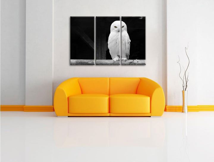 Pixxprint Weisse Schneeeule als Leinwandbild | Grösse: 3 Teilig (120x80) | Wandbild| Kunstdruck | fe