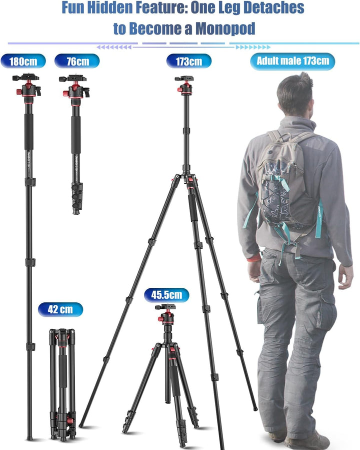 CAMBOFOTO 173cm Professionelles Kamera-Stativ, Tragbares Stativ 173 cm/Einbein 180 cm mit 360-Grad-K