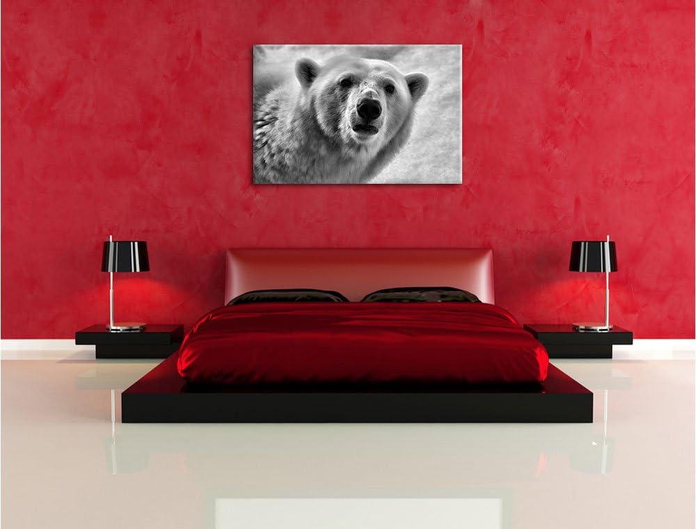 Pixxprint wachsamer Eisbär / 100x70cm Leinwandbild bespannt auf Holzrahmen/Wandbild Kunstdruck Dekor