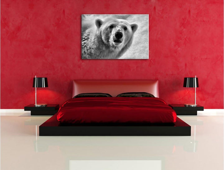 Pixxprint wachsamer Eisbär / 100x70cm Leinwandbild bespannt auf Holzrahmen/Wandbild Kunstdruck Dekor