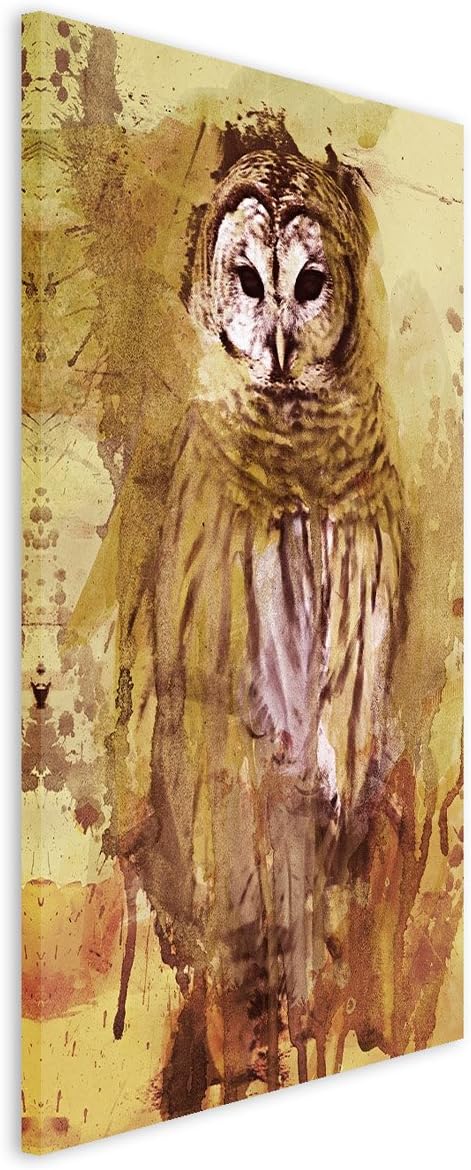 Paul Sinus Art Eule 90x60cm Wandbild Aquarell Kunstbild Malerei Leinwandbild Fotoleinwand