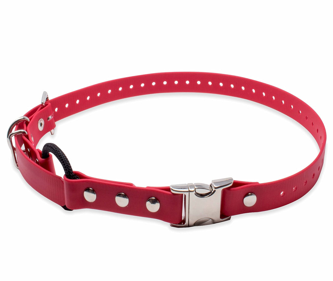 Educator Quick Snap Bungee-Halsband, 2,5 cm breit, 84,4 cm lang, Rot 1W x 33L rot, 1W x 33L rot