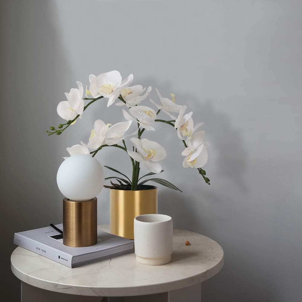 LESING Künstliche Orchidee mit Vase, weisse Orchidee Bonsai künstliche Orchidee Phalaenopsis Pflanzt