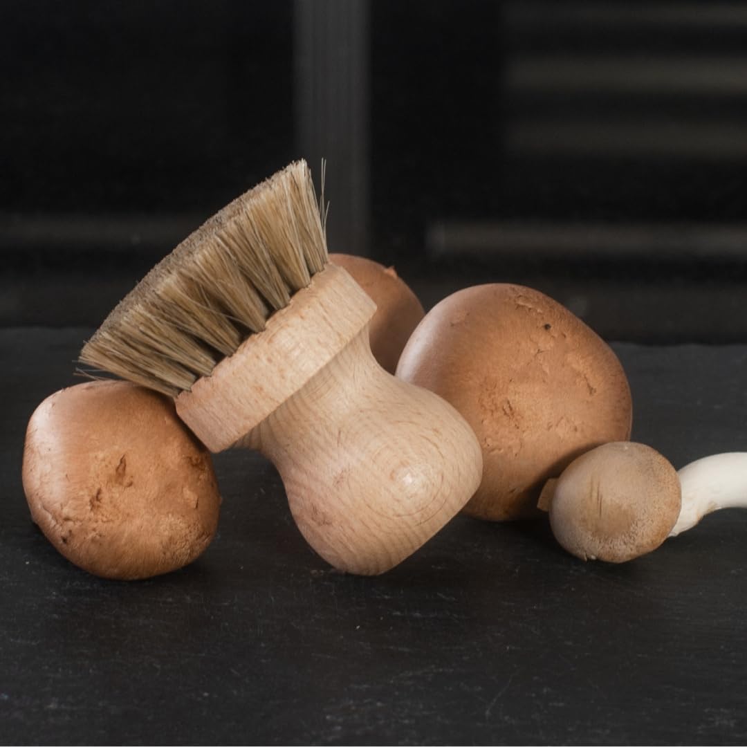 3X HOFMEISTER® Pilzbürste Champignonbürste Holz Naturborste - mit edlem Rosshaar, für alle Pilze gee