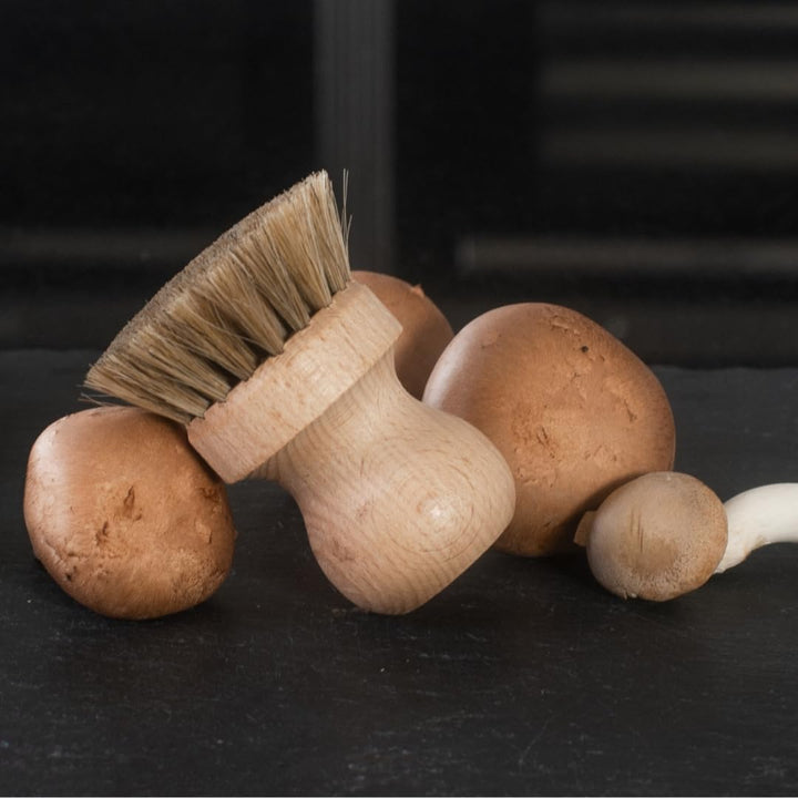 3X HOFMEISTER® Pilzbürste Champignonbürste Holz Naturborste - mit edlem Rosshaar, für alle Pilze gee