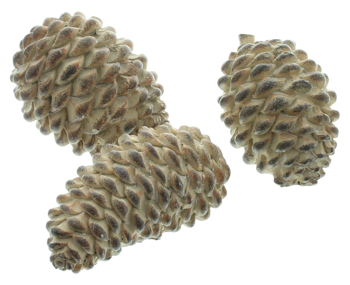 FRANK FLECHTWAREN Deko-Zapfen Natural, 3er Set