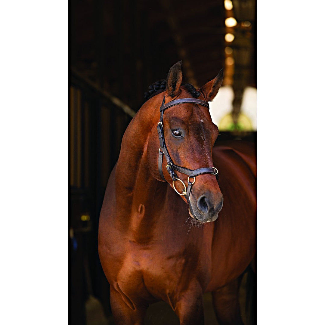 Horseware Rambo Micklem Multibridle black Schwarz L, Schwarz L