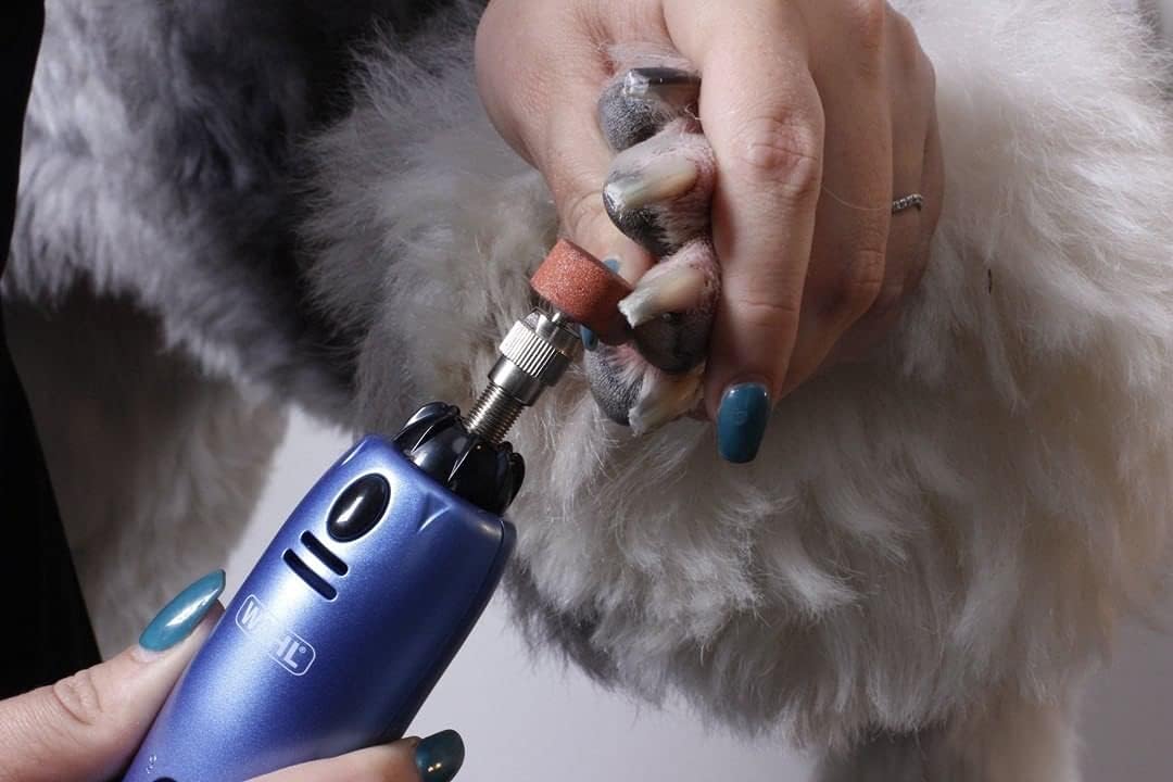 WAHL batteriebetriebene Nagelfeile elektrischer Nagelschleifer für Haustiere, elektrischer Nagelschl